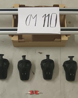 Barre per box da tetto