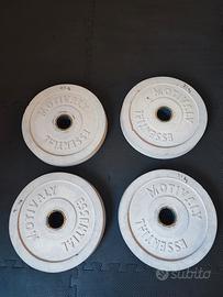 Dischi per Palestra in cemento 