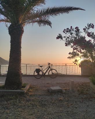 Bicicletta city - trekking elettrica 