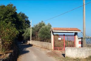 Palazzina con terreno