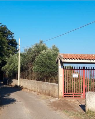 Palazzina con terreno