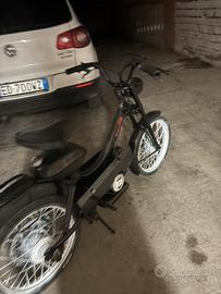 motom daina 48 matic
