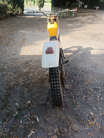 Triumph da competizione