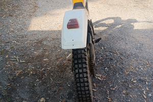 Triumph da competizione