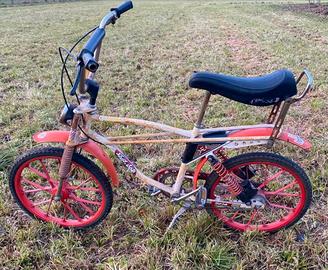 Bicicletta Bici vintage Saltafoss