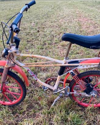 Bicicletta Bici vintage Saltafoss