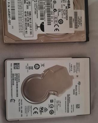 hard disk da 2,5 pollici 500gb e 320gb