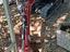 Immagine 1
