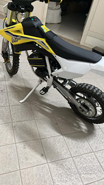 Lem elettrico 50cc