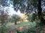 Immagine 11