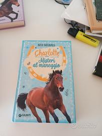 misteri al maneggio