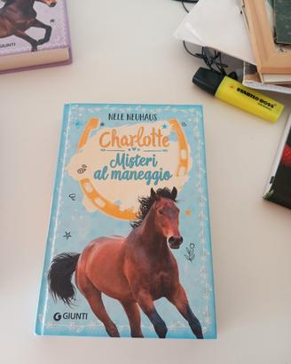 misteri al maneggio