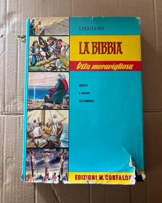 La bibbia vita meravigliosa