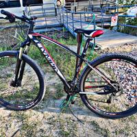 MTB Olympia Drake 2019 tg.M