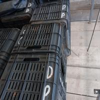 Cassette per olive o mandorle in plastica buona