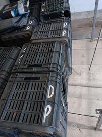 Cassette per olive o mandorle in plastica buona