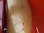 Immagine 14