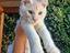Immagine 1