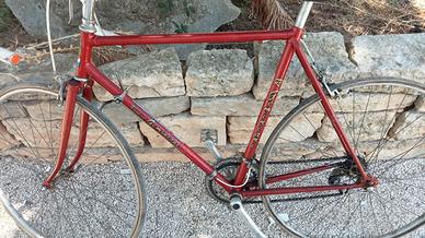 Bici da corsa