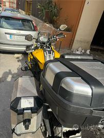 Benelli TRK 502 - 2022