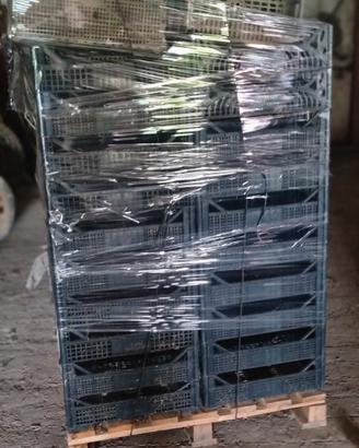 cassette in plastica per ortofrutta