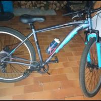 Bicicletta da uomo