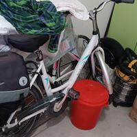 bicicletta elettrica assistita