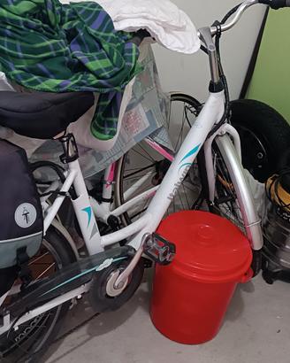 bicicletta elettrica assistita