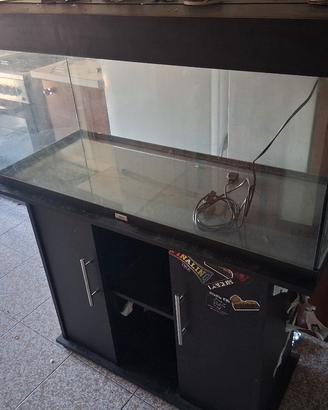 acquario con mobile 