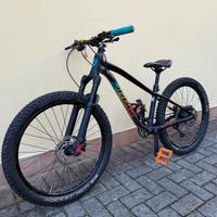 bicicletta