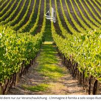 Vadena: Terreno agricolo