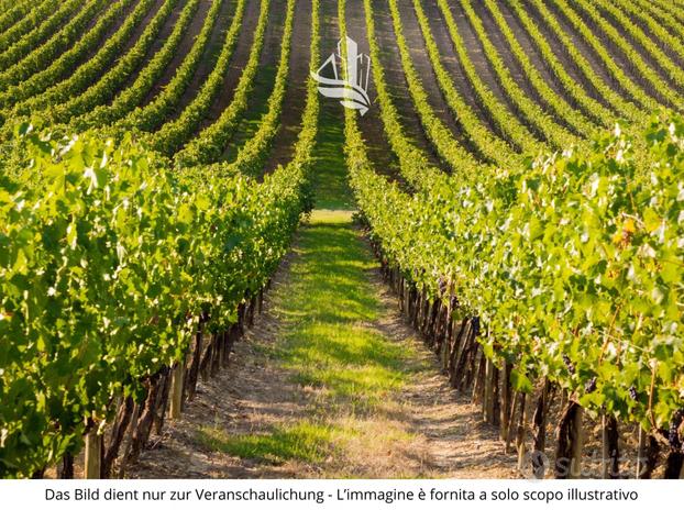 Vadena: Terreno agricolo