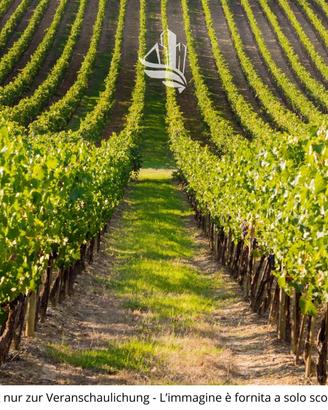 Vadena: Terreno agricolo