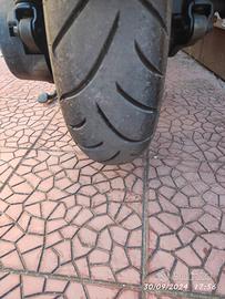 Yamaha Majesty 150 - 2001