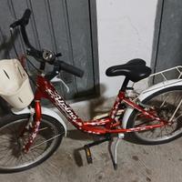 BICI ALPINA PER RAGAZZO