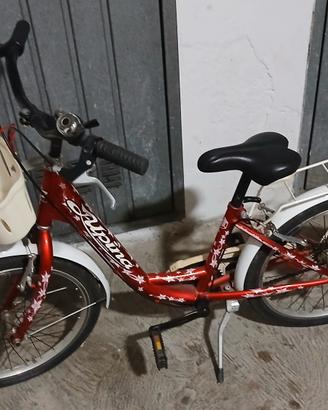 BICI ALPINA PER RAGAZZO