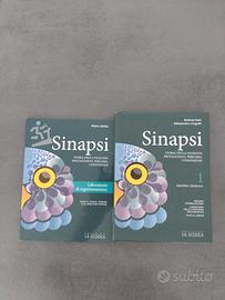 Sinapsi storia della filosofia