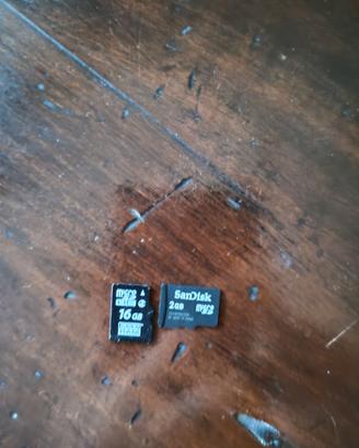 Coppia Schede microsd fotocamera