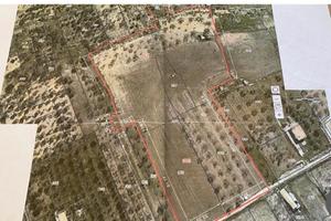 Terreno agricolo -BA003147