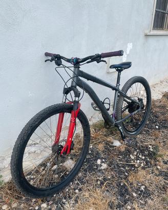 Bicicletta