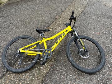Scott scale 24”