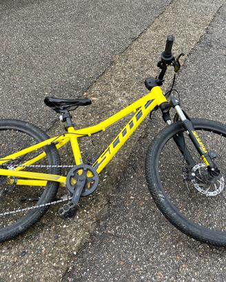 Scott scale 24”
