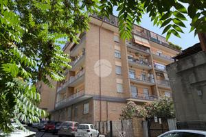 3 LOCALI A ROMA