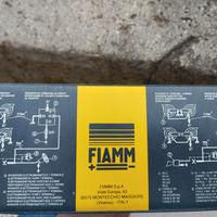 Trombe auto elettriche 