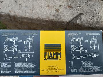 Trombe auto elettriche 