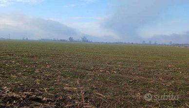 RGE 381/2023 Tribunale Verona - Lotto 3)