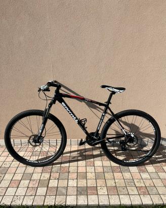 Bicicletta MTB