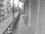 Immagine 12