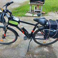 bicicletta pedalata assistita