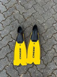 Pinne caressi rondinella